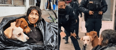 Anciana de 65 años se niega a vivir en un refugio porque nadie la quiere con sus 6 perros Anciana de 65 años evita vivir en un albergue porque no la reciben con sus 6 cachorros