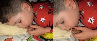 Niño de 4 años sacó a su pececito del estanque para no tener miedo de dormir solo Niño de 4 años sacó a su pececito del estanque para no tener miedo de dormir solo