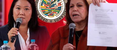 Piden auditoría de la OEA Lourdes Flores pide auditoría internacional inmediata para “conocer la verdad”