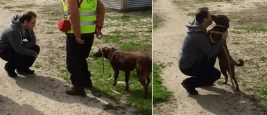 Hombre lloró al reencontrarse con su cachorra luego de 2 años Hombre lloró al reencontrarse con su cachorra luego de 2 años "secuestrada" por una vecina