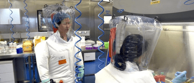 Médico lanza advertencia sobre el origen del coronavirus en Wuhan: Médico advierte sobre el coronavirus nacido en Wuhan: "Habrá COVID-26 y COVID-32"