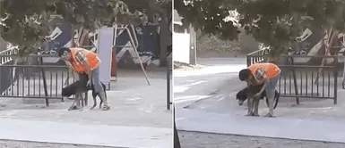 Graban a hombre realizando la terapia de su perro anciano para que vuelva a caminar Graban a hombre realizando la terapia de su perro anciano para que vuelva a caminar