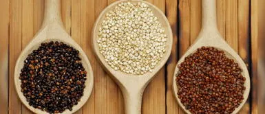 Los alimentos andinos poseen grandes beneficios a la salud. Día Nacional de los Granos Andinos: deliciosas recetas para reforzar el sistema inmune