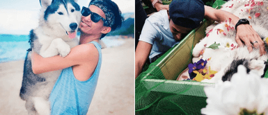 Joven despidió con emotivo mensaje a su perro fallecido de 6 años: Joven despidió con emotivo mensaje a su perro fallecido de 6 años: "Perdí una parte de mi corazón"