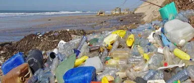 Especialista de UTEC brinda 4 recomendaciones para contrarrestar la contaminación ambiental con plástico. Especialista de UTEC brinda 4 recomendaciones para contrarrestar la contaminación ambiental con plástico.