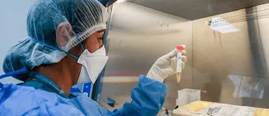 Científicos detectan la variante Delta Plus del coronavirus: ¿Es más contagiosa o más letal? Científicos detectan la variante Delta Plus del coronavirus: ¿Es más contagiosa o más letal?