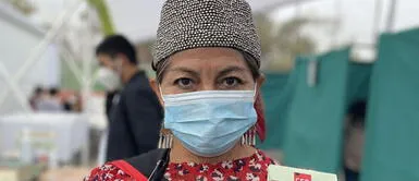 Loncón es doctora en lingüística y experta en educación intercultural bilingüe. Elisa Loncón: Indígena mapuche es elegida presidenta de la Convención Constituyente en Chile