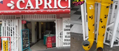 SJL: Pastelería instaló comedero y bebedero para ayudar a los perros en situación de calle SJL: Pastelería instaló comedero y bebedero para ayudar a los perros en situación de calle