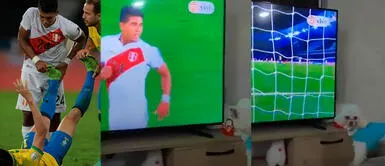 Raziel García : Perros del volante lo reconocen en la televisión y se vuelven locos de felicidad Raziel García provoca que sus mascotas salten de emoción al verlo en vivo en juego contra Brasil