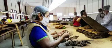 Ministro de trabajo se pronunció sobre sueldo mínimo Ministro de trabajo: “Incrementar el salario mínimo tendría consecuencias”