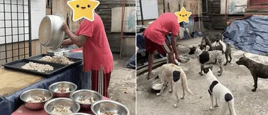 Vecinos realizan colecta para ayudar a señor de bajos recursos que alimenta perros callejeros Vecinos realizan colecta para ayudar a señor de bajos recursos que alimenta perros callejeros