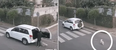 Graban a cachorra persiguiendo la camioneta de su dueño tras ser abandonada en la pista Graban a cachorra persiguiendo la camioneta de su dueño tras ser abandonada en la pista