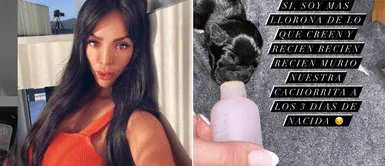 Sheyla Rojas confesó vivir momentos difíciles por el fallecimiento de su perrita: Sheyla Rojas confesó vivir duros momentos tras la muerte de su perrita: "¡He llorado!"