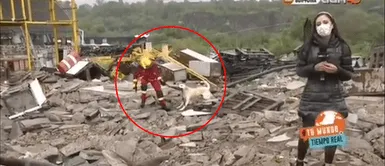 Perro callejero y bombero Perro callejero y bombero "pelearon" en vivo mientras reportera informaba sobre un accidente