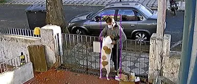 Roban ropa a perro ¡Increíble! Hombre le roba ropa a perrito mientras fingía acariciarlo