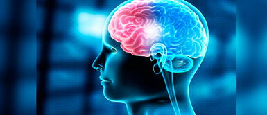 Especialista revela cómo ejercitar tu pensamiento elástico Estos son los retos para practicar tu pensamiento elástico