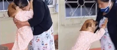 Anciana y su cachorra extraviada se abrazaron emotivamente tras reencontrarse luego de meses Anciana y su cachorra extraviada se abrazaron emotivamente tras reencontrarse luego de meses