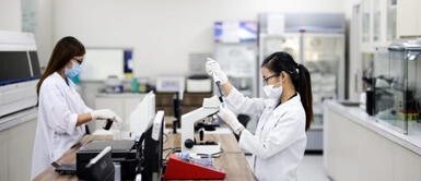 CONCYTEC financia estudios doctorales de investigadores que aportar soluciones a los principales problemas de salud CONCYTEC financia estudios doctorales de investigadores que aportar soluciones a los principales problemas de salud