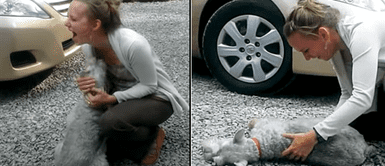 Cachorra se Perrita se "desmayó" de emoción al reencontrarse con su dueña luego de 2 años