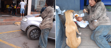 Chorrillos: Captan a indigente compartiendo con su perrita un pedazo de pollo a la brasa que consiguió Chorrillos: Captan a indigente compartiendo con su perrita un pedazo de pollo a la brasa que consiguió