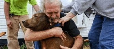 Anciano gastó sus ahorros de toda la vida para salvar a su cachorro enfermo del corazón Anciano gastó sus ahorros de toda la vida para salvar a su cachorro enfermo del corazón