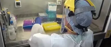 Nueva variante del coronavirus es hallado en el norte del país. Autoridades informan presencia de la variante Iota en Piura, Moquegua, La Libertad y Callao