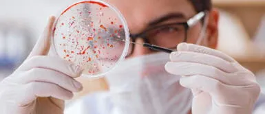 La OMS señala que es urgente realizar más estudios sobre las mutaciones de la variante Lambda. Foto referencial: Freepik COVID-19: ¿Cómo se detectó la variante lambda en el Perú?