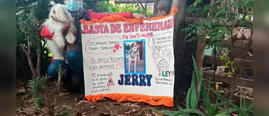 Callao: Vecinos buscan encontrar a persona que mata a las mascotas dándoles veneno maltrato animal video Callao: Vecinos buscan identificar a asesino de siete perros y gatos