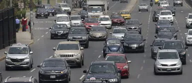 Nuevo límite de velocidad ¡Atención conductores! Velocidad máxima en avenidas será de 50 km/hora