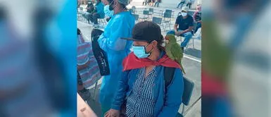 Vacunatón Ica: Mujer acude a inocularse contra la COVID-19 al lado de su loro en Nasca Mujer asiste a la vacunación contra la COVID-19 junto a su lorito en Ica