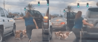 Mujer detiene el tráfico para salvar a tres cachorros que intentaban cruzar la pista Mujer detiene el tráfico para salvar a tres cachorros que intentaban cruzar la pista