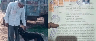 Hombre de 50 años heredó la mitad de sus bienes a su cachorra: Hombre de 50 años heredó la mitad de sus bienes a su cachorra: "Me quiere más que mis hijos"