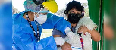 Surco: Municipalidad realiza vacunatón para mascotas hasta el viernes 23 de julio Surco: Realizan vacunatón para perros y gatos hasta el 23 de julio