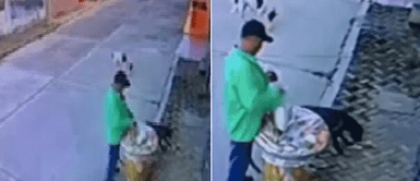 Graban a vendedor ambulante alimentando a dos perros callejeros con sus propios productos Graban a vendedor ambulante alimentando a dos perros callejeros con sus propios productos