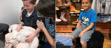 Niño abraza a su cachorra desahuciada y rompe en llanto: Niño abraza a su cachorra desahuciada y rompe en llanto: "Es triste cuando van al cielo"