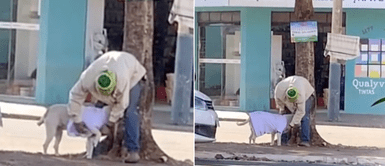 Anciano encontró una cachorra sin hogar y la vistió para protegerla del frío Anciano encontró una cachorra sin hogar y la vistió para protegerla del frío