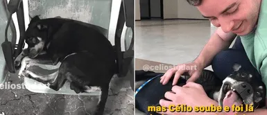 Cachorro que esperó afuera de hospital a su dueño fallecido de COVID-19 fue adoptado Cachorro que esperó afuera de hospital a su dueño fallecido de COVID-19 fue adoptado