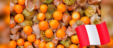 Bicentenario Cuáles son los alimentos peruanos con alto valor nutritivo comida saludable Perú Bicentenario: ¿Cuáles son las frutas peruanas con más nutrientes?