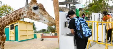 Actividades recreativas 28 y 29 de julio Fiestas Patrias: Estas son algunas actividades recreativas que puedes realizar el 28 y 29 de julio