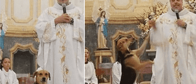Sacerdote incentiva la adopción durante misa y pide rescatar a los perros callejeros Sacerdote incentiva la adopción durante misa y pide rescatar a los perros callejeros