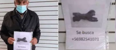 Anciano recorre las calles llorando mientras intenta encontrar a su perro extraviado Anciano recorre las calles llorando mientras intenta encontrar a su perro extraviado