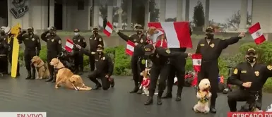 Perritos de la policía canina Perritos de la Policía canina se roban la atención en exhibición por Fiestas Patrias