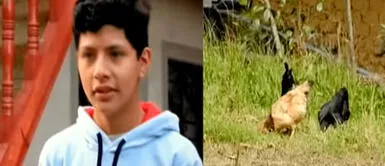 Hijo de Pedro Castillo hace visible su amor por los animales Hijo de Pedro Castillo demuestra su gran amor por los animales de Chugur con emotivo mensaje