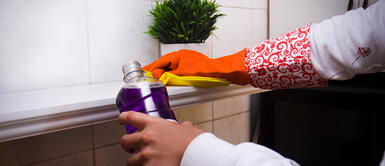 desinfectar casa ¿Cómo hacer una correcta desinfección de casa con un buen aroma?