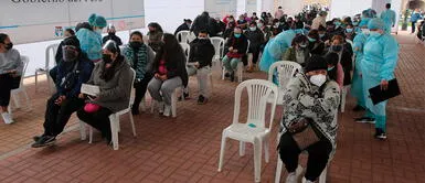 Vacuna COVID-19: Personas falsifican carnés de vacunación contra coronavirus para recibir dosis de Pfizer Personas falsifican carnés de inoculación para recibir vacunas de Pfizer en Lima y Callao