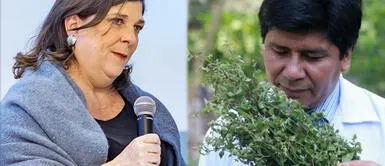 Rosa María Palacios se pronuncia sobre nuevo jefe de EsSalud Rosa María Palacios y usuarios de redes recuerdan a nuevo jefe de EsSalud su "afición" por la ivermectina
