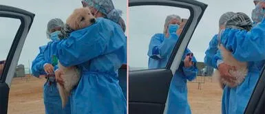 TikTok viral: Perro enamora a enfermeras durante su llegada al vacunatorio con su dueña Mujer acude con su perro al vacunatorio y 'Eros' se roba el corazón de las enfermeras