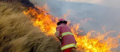 Cusco: Aeronaves asisten para controlar incendio forestal en Quispicanchi Incendios forestales: Más de 240 alertas de siniestros se reportaron y aeronaves asisten para controlarlos