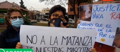 Varias mascotas han fallecido. Carabayllo: vecinos denuncian que sujeto envenena masivamente a sus mascotas