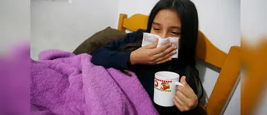 Remedios caseros: Beneficios de la muña, kion y plantas medicinales para fortalecer el sistema inmune ¿Quieres combatir males respiratorios? Consume muña, kion y otras plantas medicinales